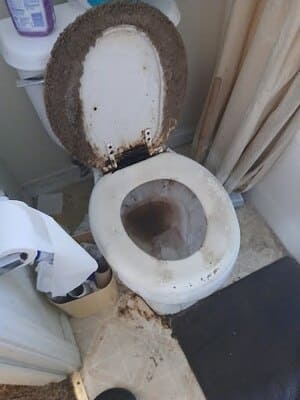 {{ custom_values.service_3 }} in {{custom_values.area_4})