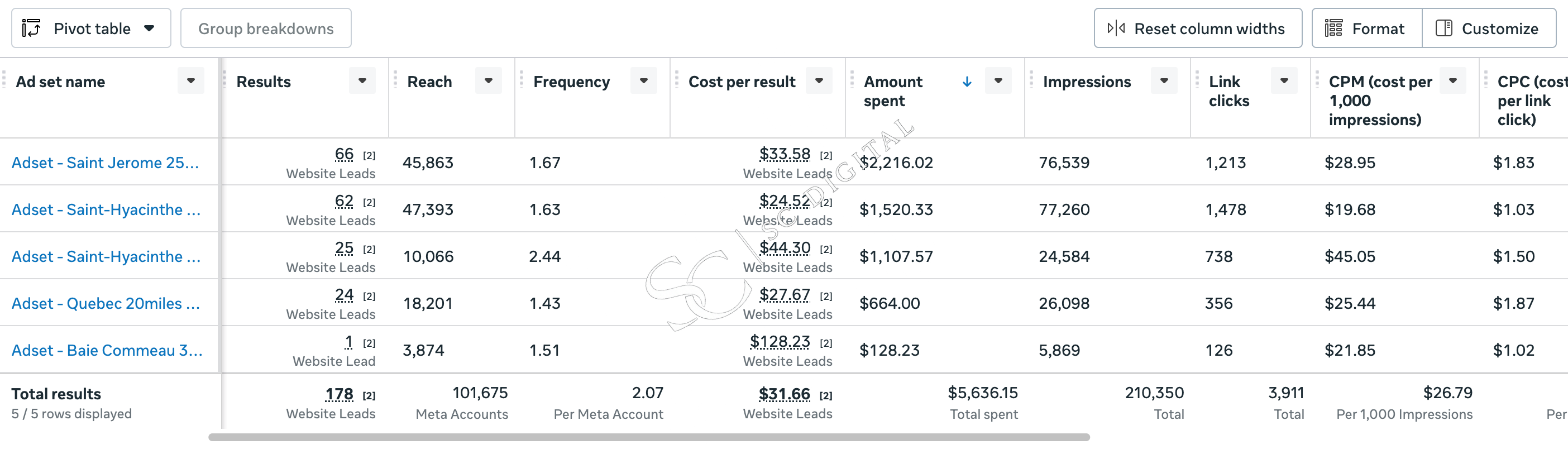 Meta campaign result screenshot