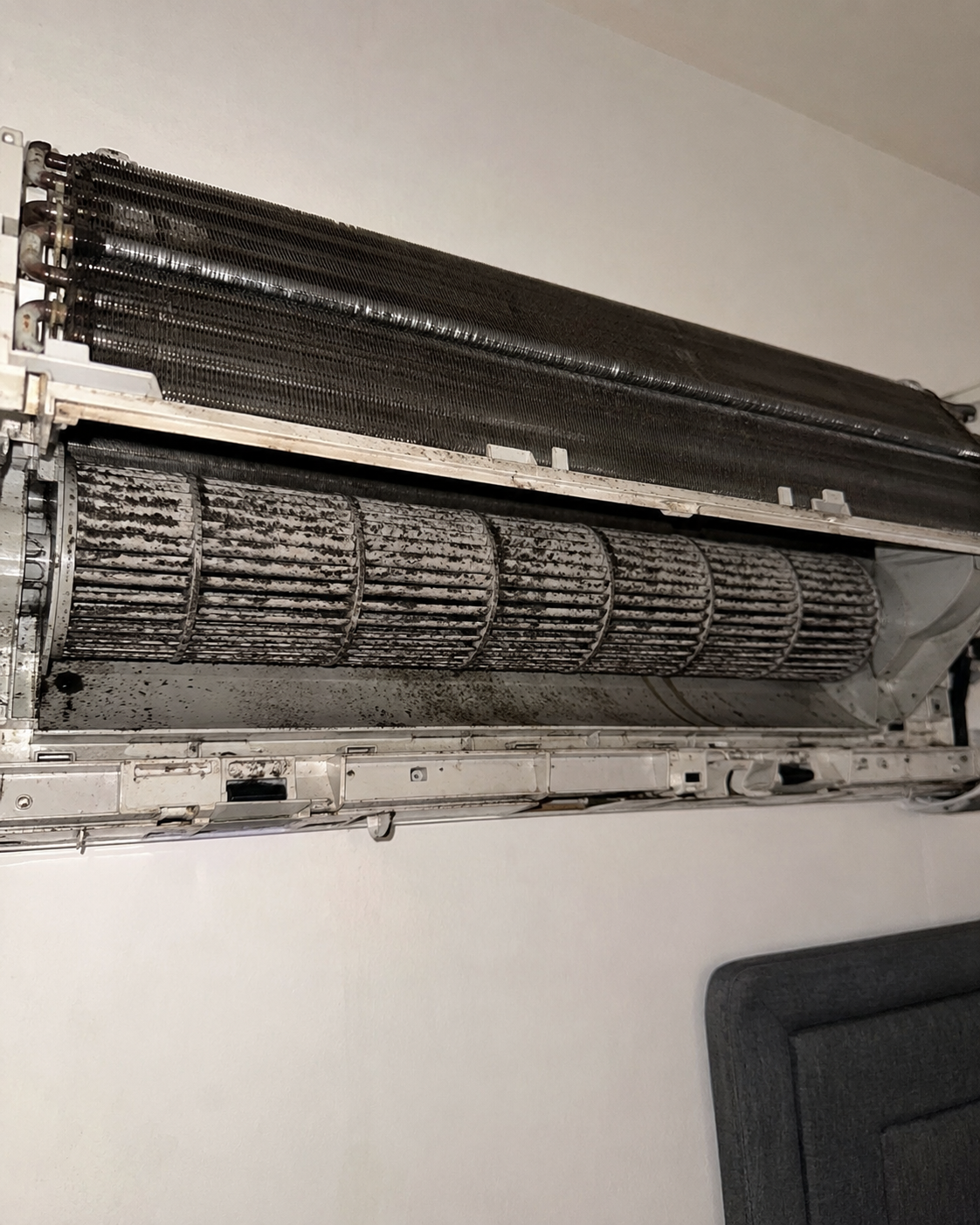 Mini-split blower wheel and coil before cleaning — black mold and biofilm