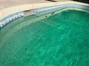 {{ custom_values.service_4 }} in {{custom_values.area_3})