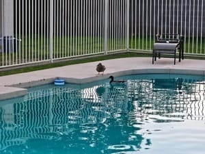 {{ custom_values.service_3 }} in {{custom_values.area_2})