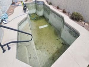 {{ custom_values.service_3 }} in {{custom_values.area_6})