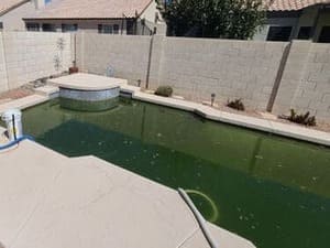 {{ custom_values.service_3 }} in {{custom_values.area_6})