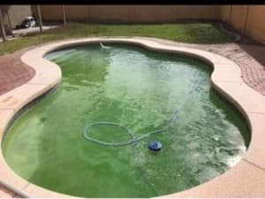 {{ custom_values.service_3 }} in {{custom_values.area_6})