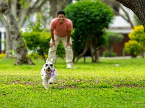 {{ custom_values.service_1 }} in {{custom_values.biz_area_1})