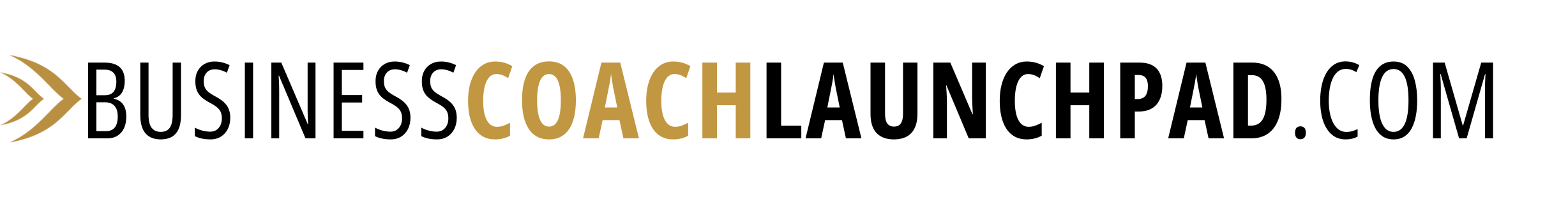 Business Coach Launchpad