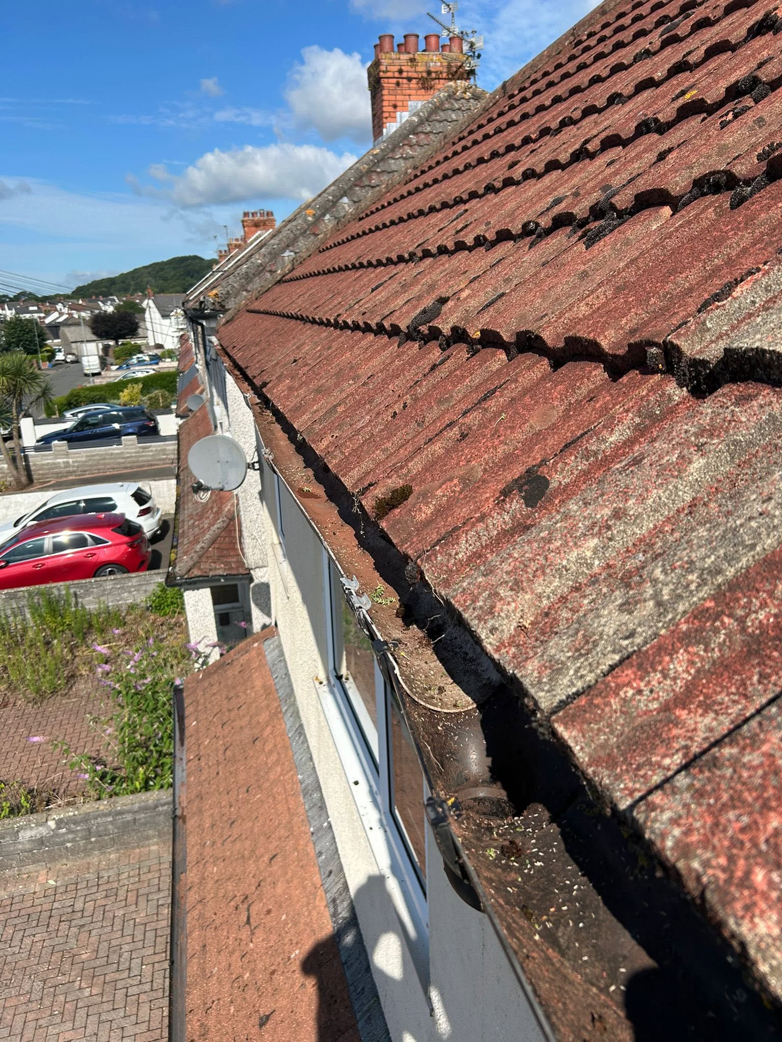Before professional cleaning service