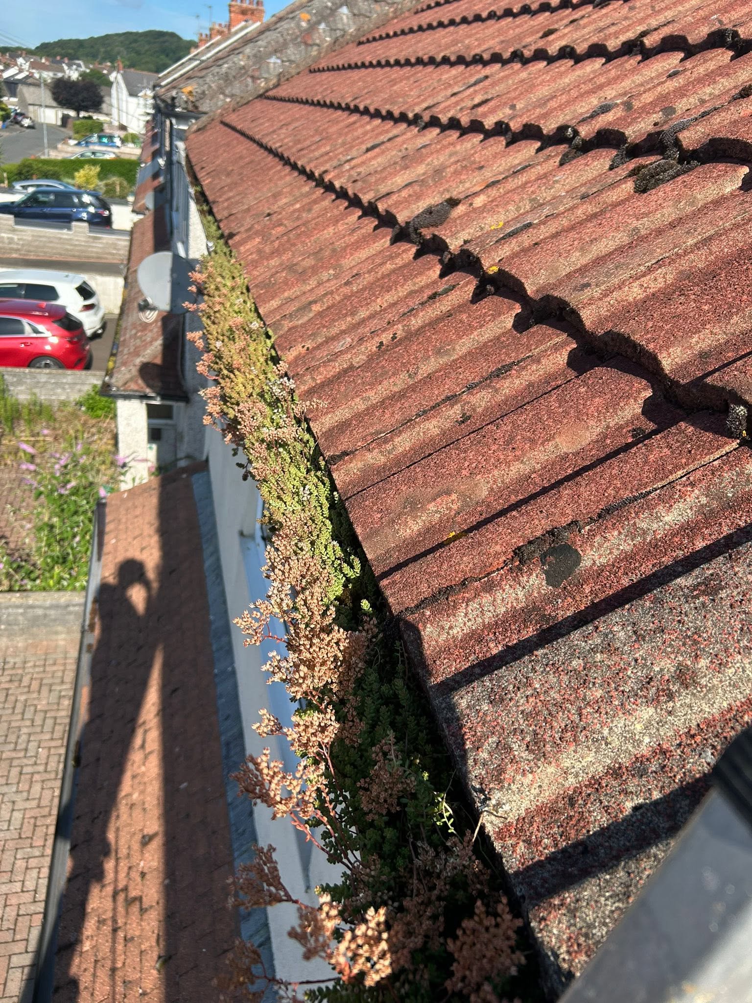 After professional cleaning service by Be Kind Cleaning