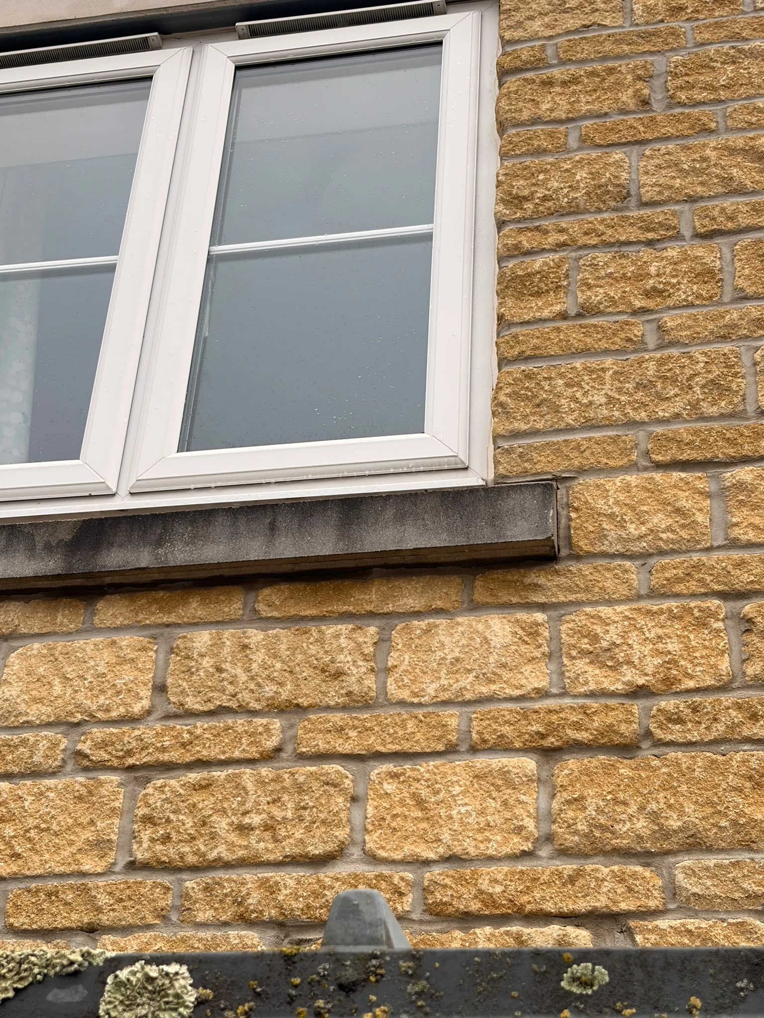 Upstairs stone window sill in Gloucester with algae and staining before soft washing by Glevum Hydro