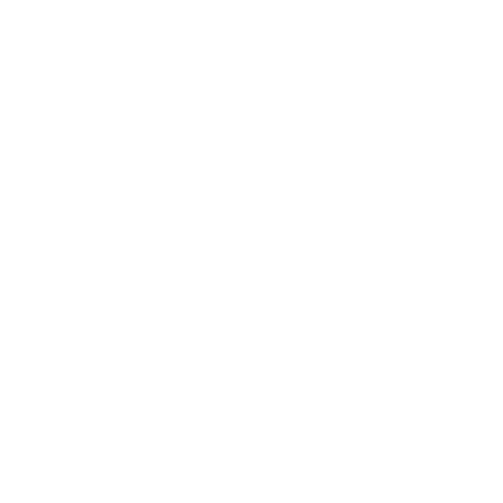 Zara Bush business logo