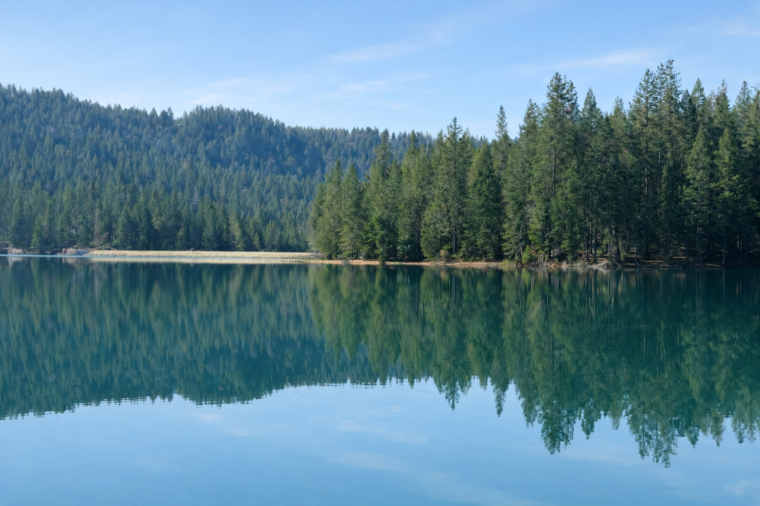 A still lake reflecting an evergreen forest and blue sky