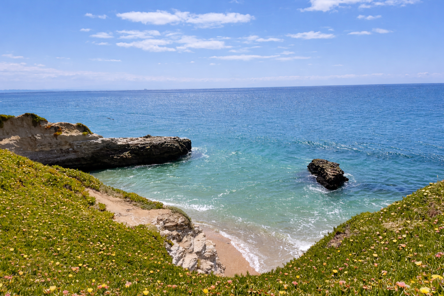 A sheltered cove with turquoise water and wildflowers on the bluff