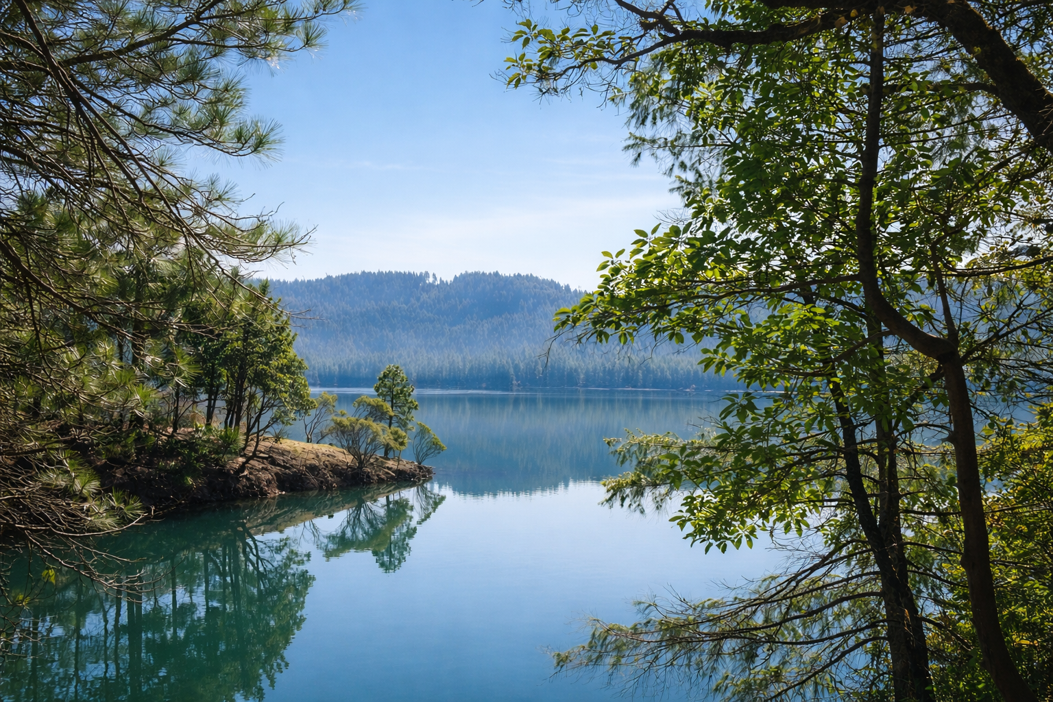 A still mountain lake framed by pine branches