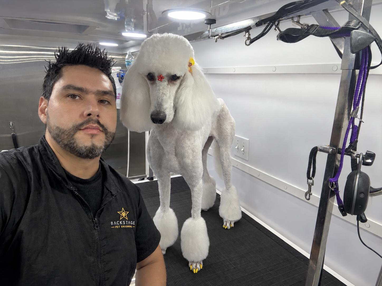 Backstage Pet Grooming client star 11