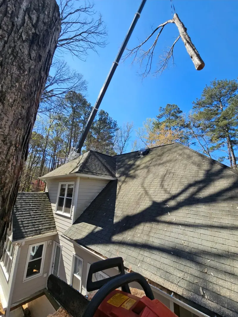 Limb being lowered on a rope over a home's roof