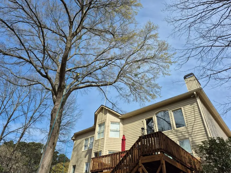 Large mature tree leaning over a two-story home with a raised deck