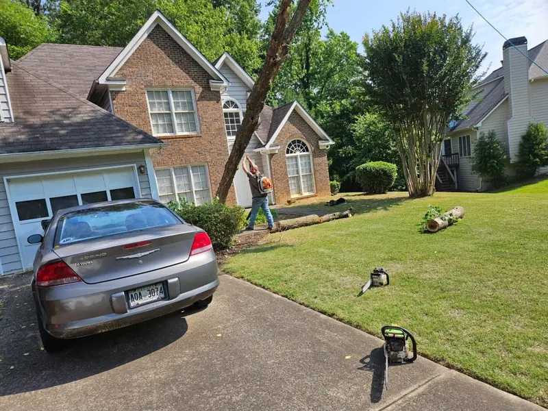 Crew cutting down a front-yard tree beside a brick home, with rounds already on the lawn