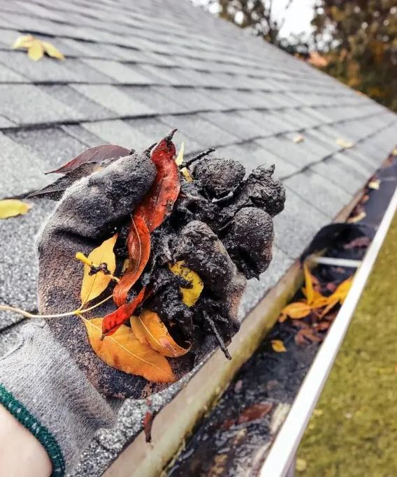 On Point Gutter Cleaning