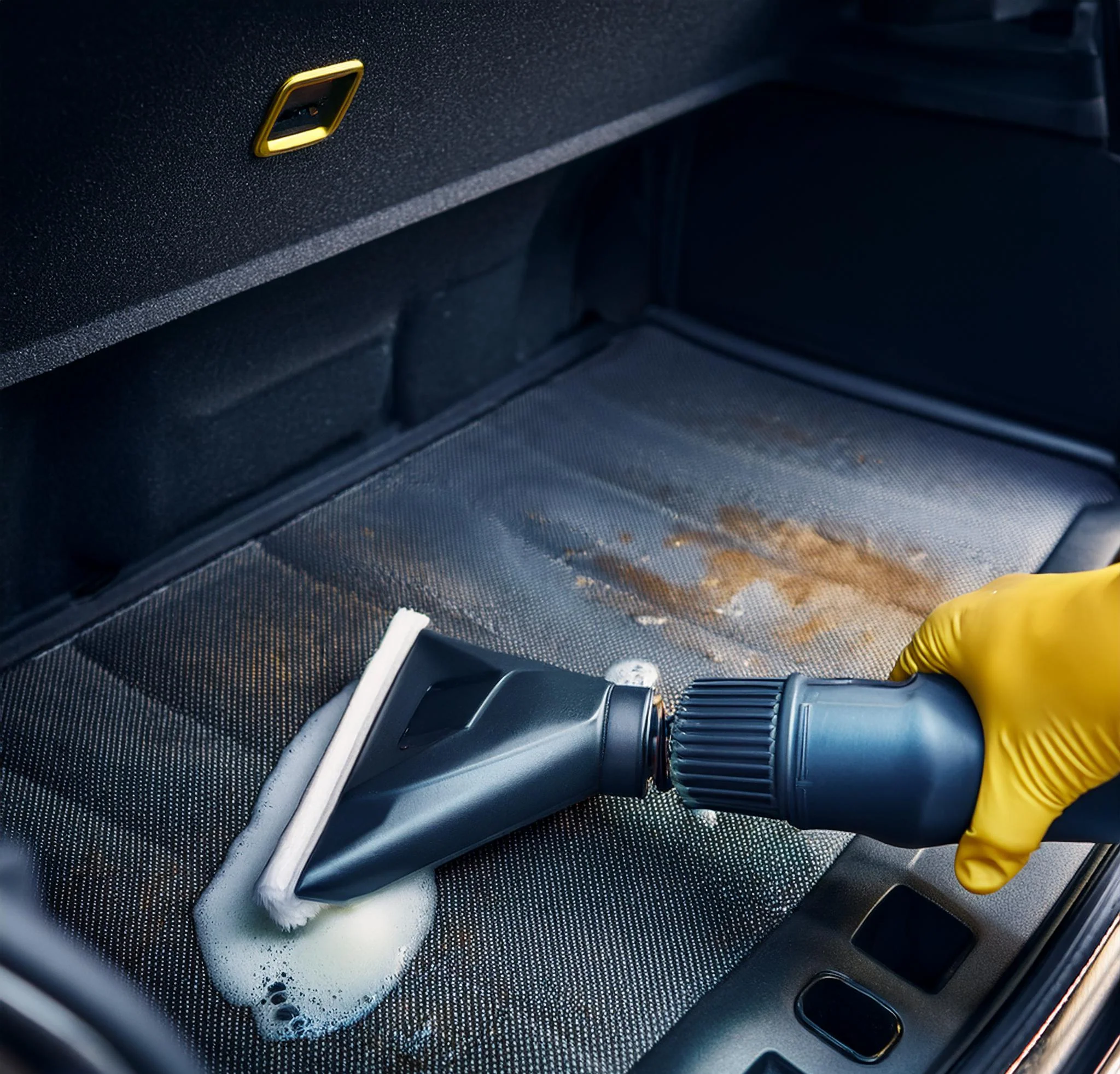 Deep Stain Extraction