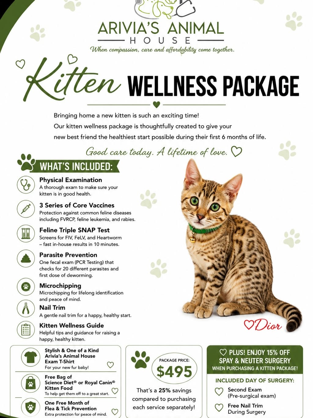 Kitten Wellness Package — Arivia's Animal House