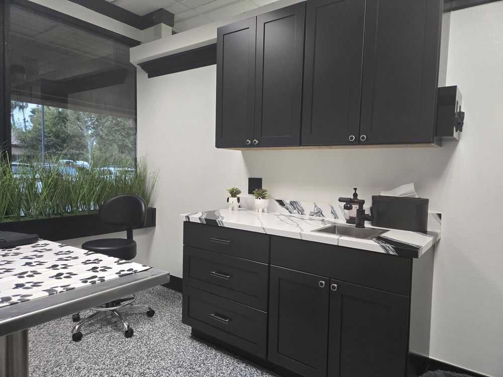 Exam room at Arivia's Animal House