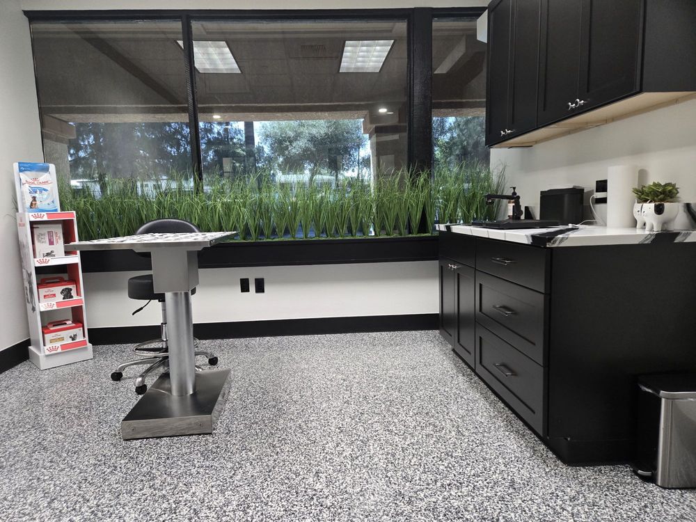 Interior of Arivia's Animal House veterinary clinic