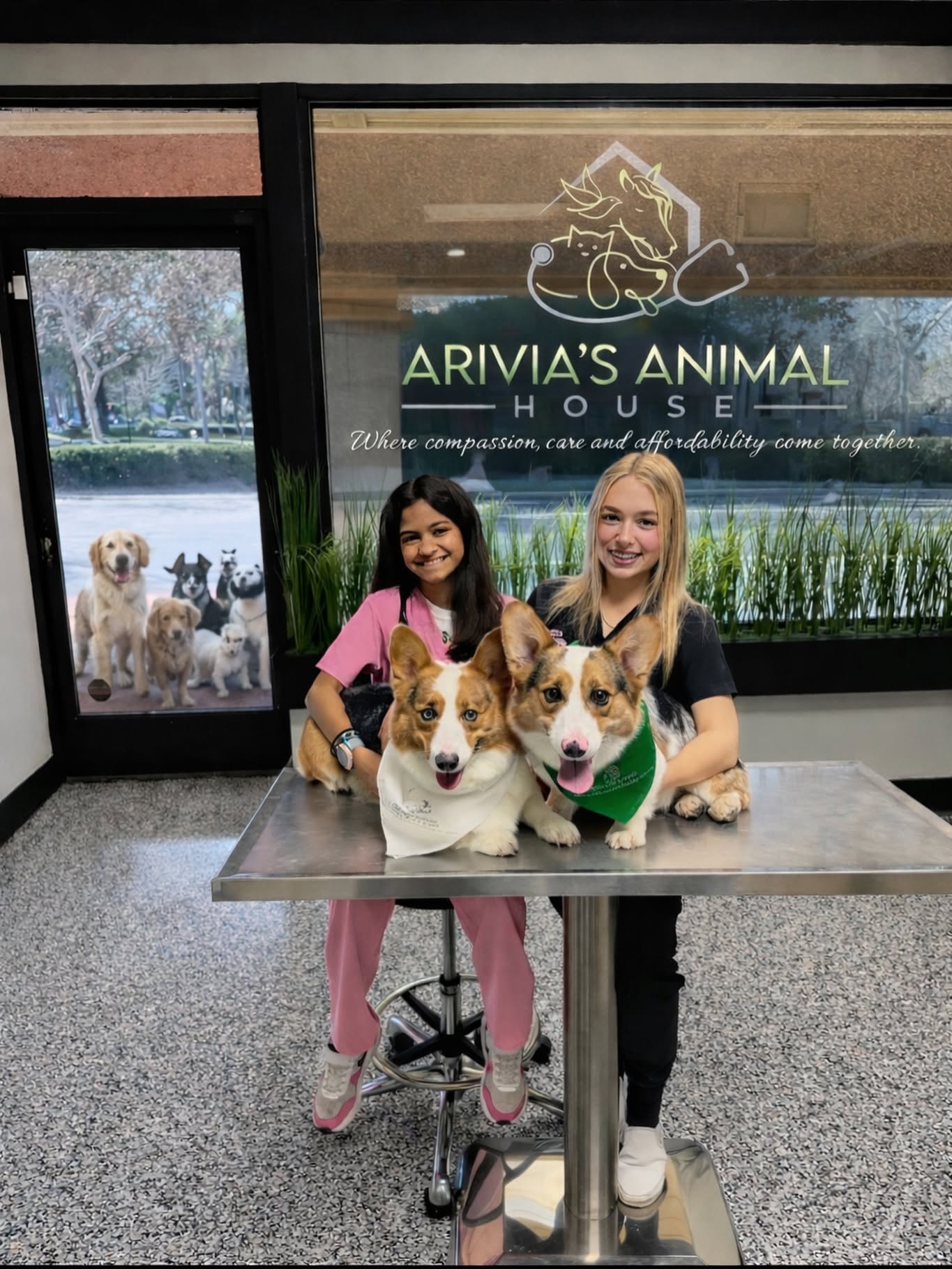 Reception area at Arivia's Animal House