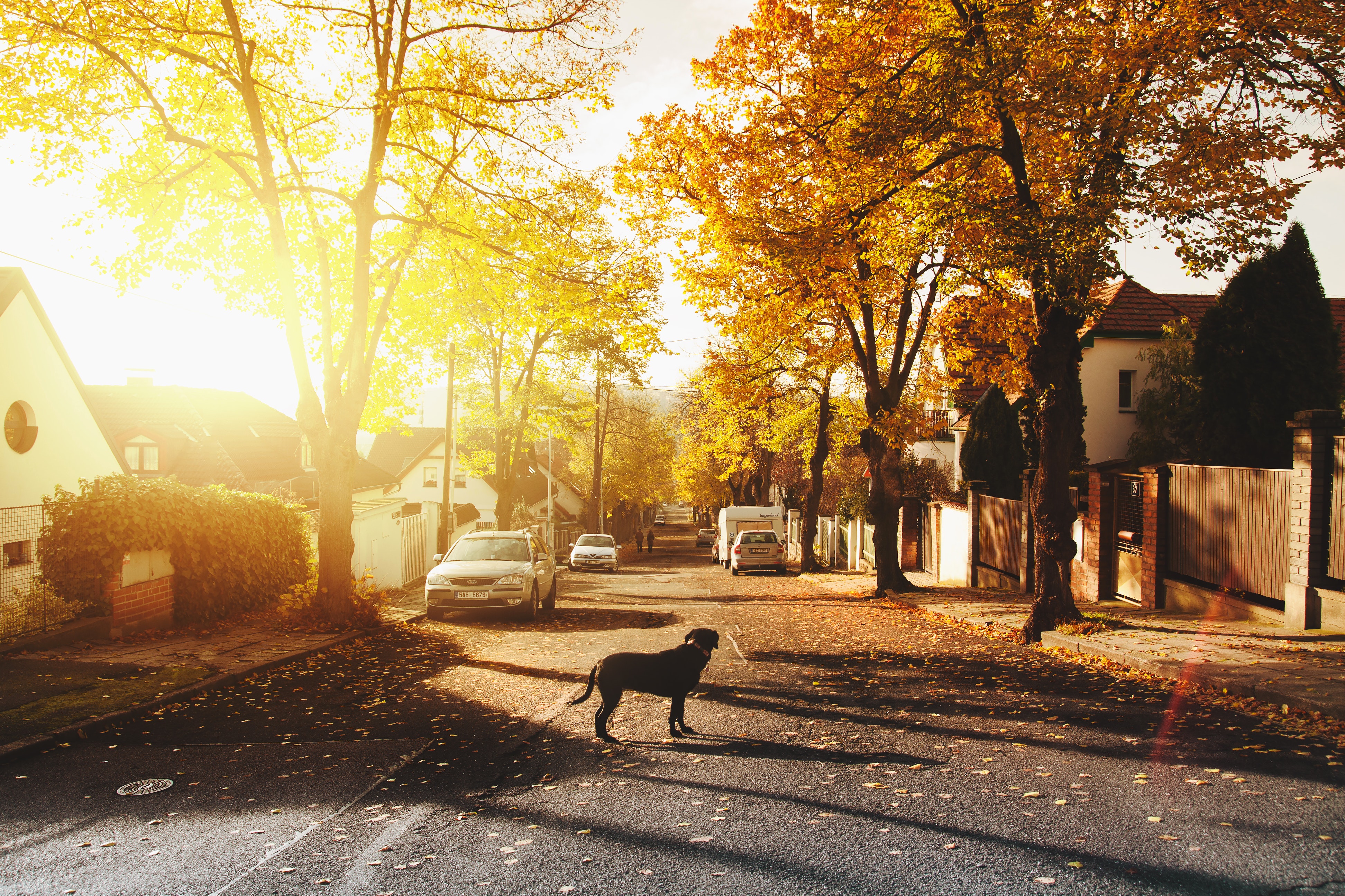 Title Insurance: Why Your Lender Requires It and Why You Might Want It Anyway