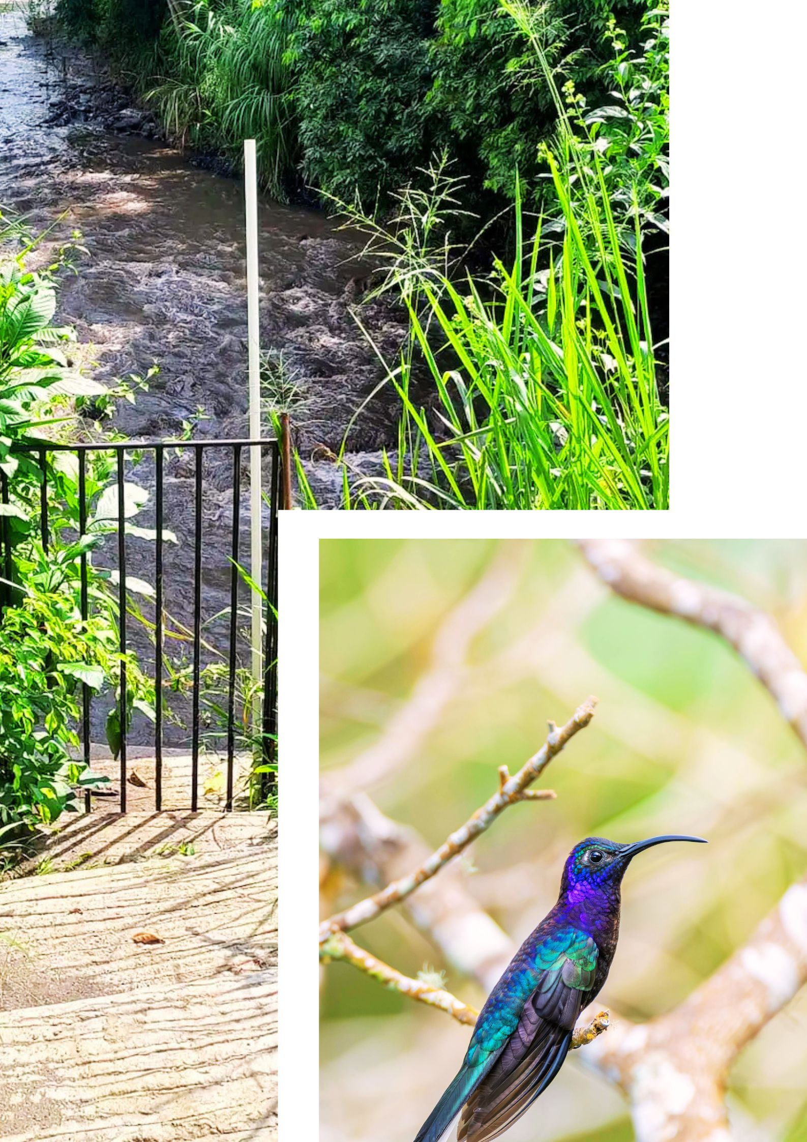 Campamentos para Scouts en Villeta Cundinamarca