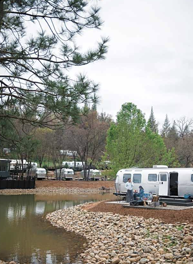 Airstreams among the trees