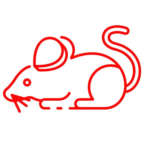 Rodent Control Icon