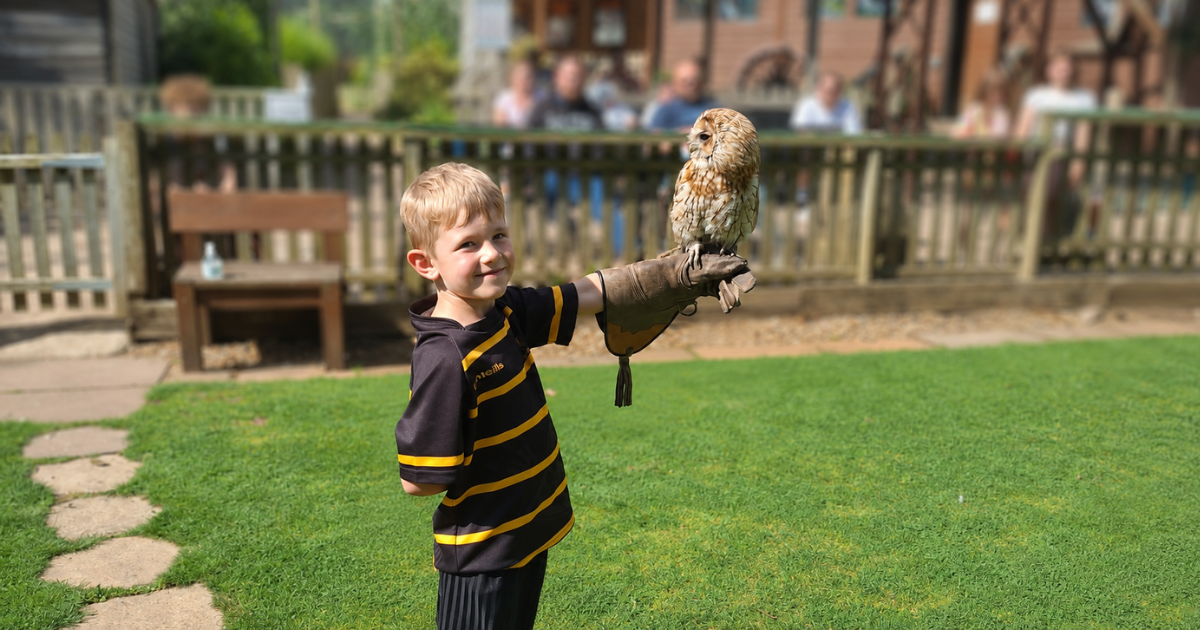 Young boy smiling while holding a tawny owl on a falconry glove during an outdoor bird experience, symbolising confidence, courage and a love of owls. Young boy smiling while holding a tawny owl on a falconry glove during an outdoor bird experience, symbolising confidence, courage and a love of owls.