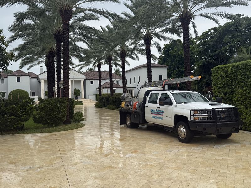 Before and after driveway cleaning
