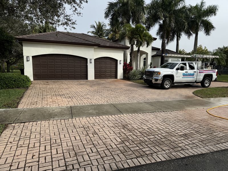 Before and after driveway cleaning