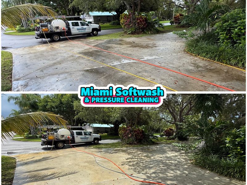 Before and after driveway cleaning