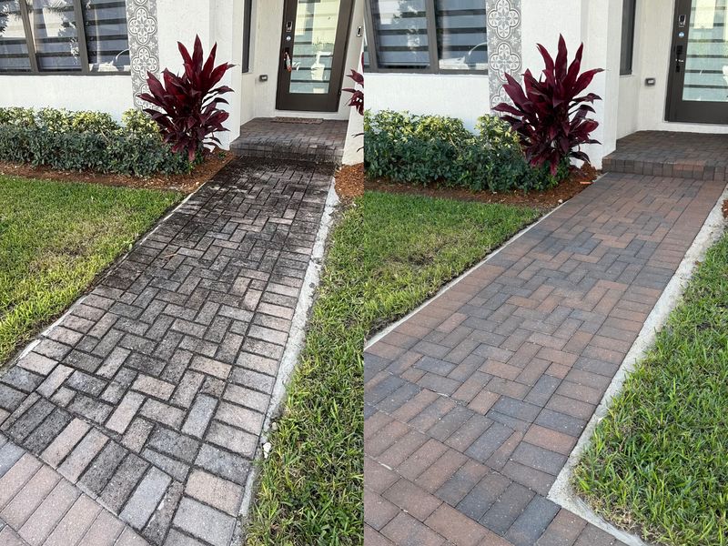 Before and after driveway cleaning