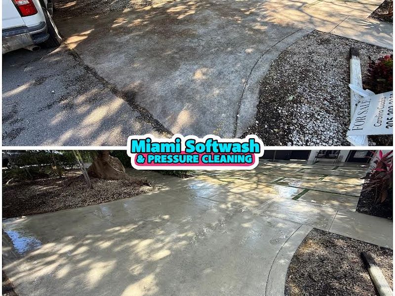 Before and after driveway cleaning