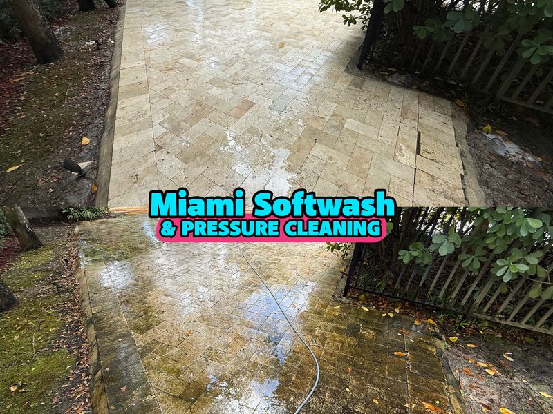 Before and after driveway cleaning