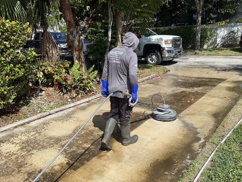 Before and after driveway cleaning