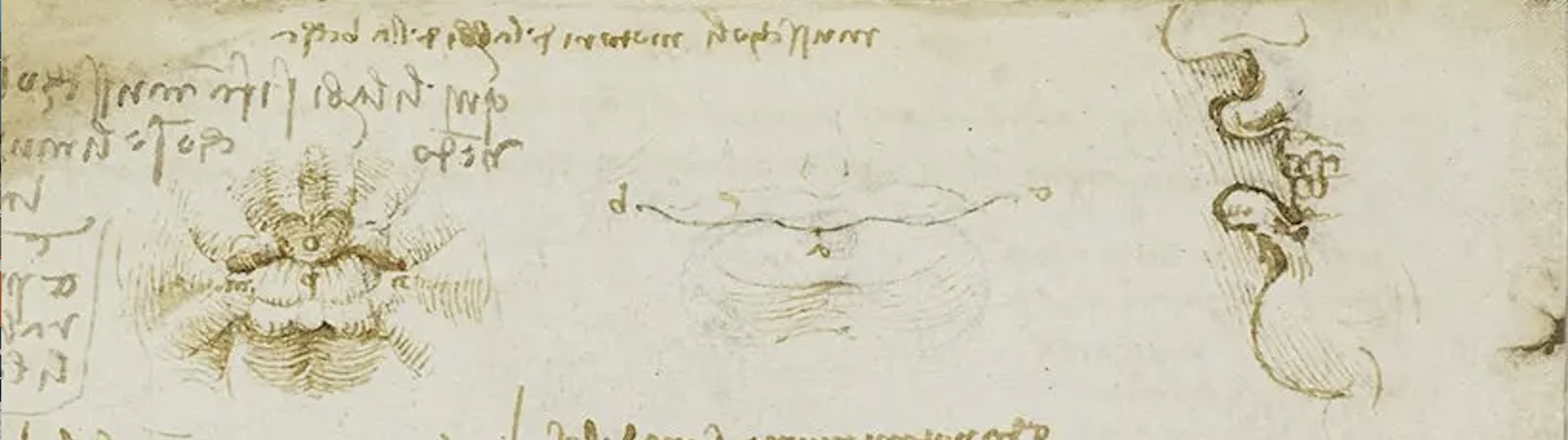 Sketchbooks of Leonardo da Vinci Sketchbooks of Leonardo da Vinci