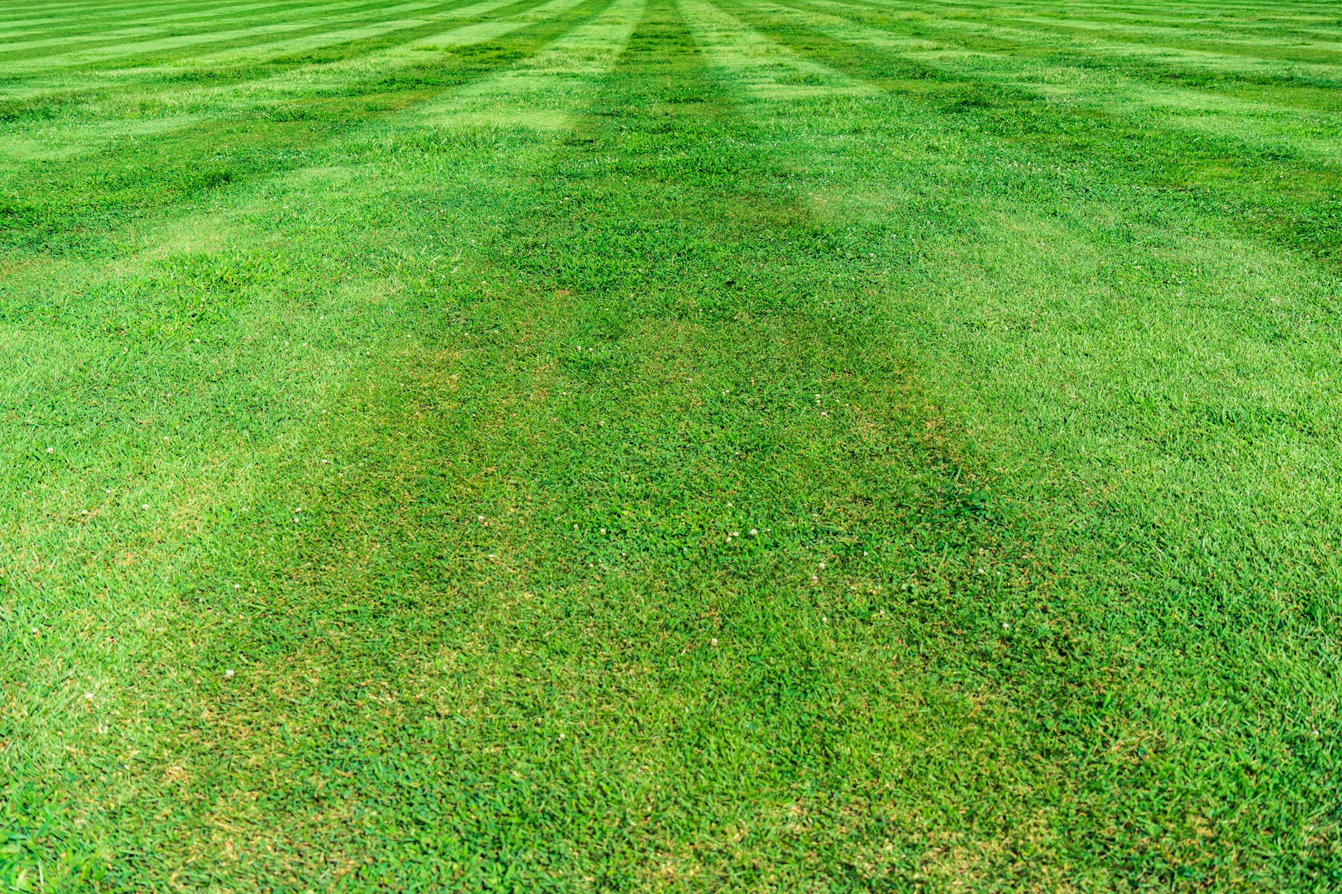 Bad Boy Zero Turn Mower Comparison