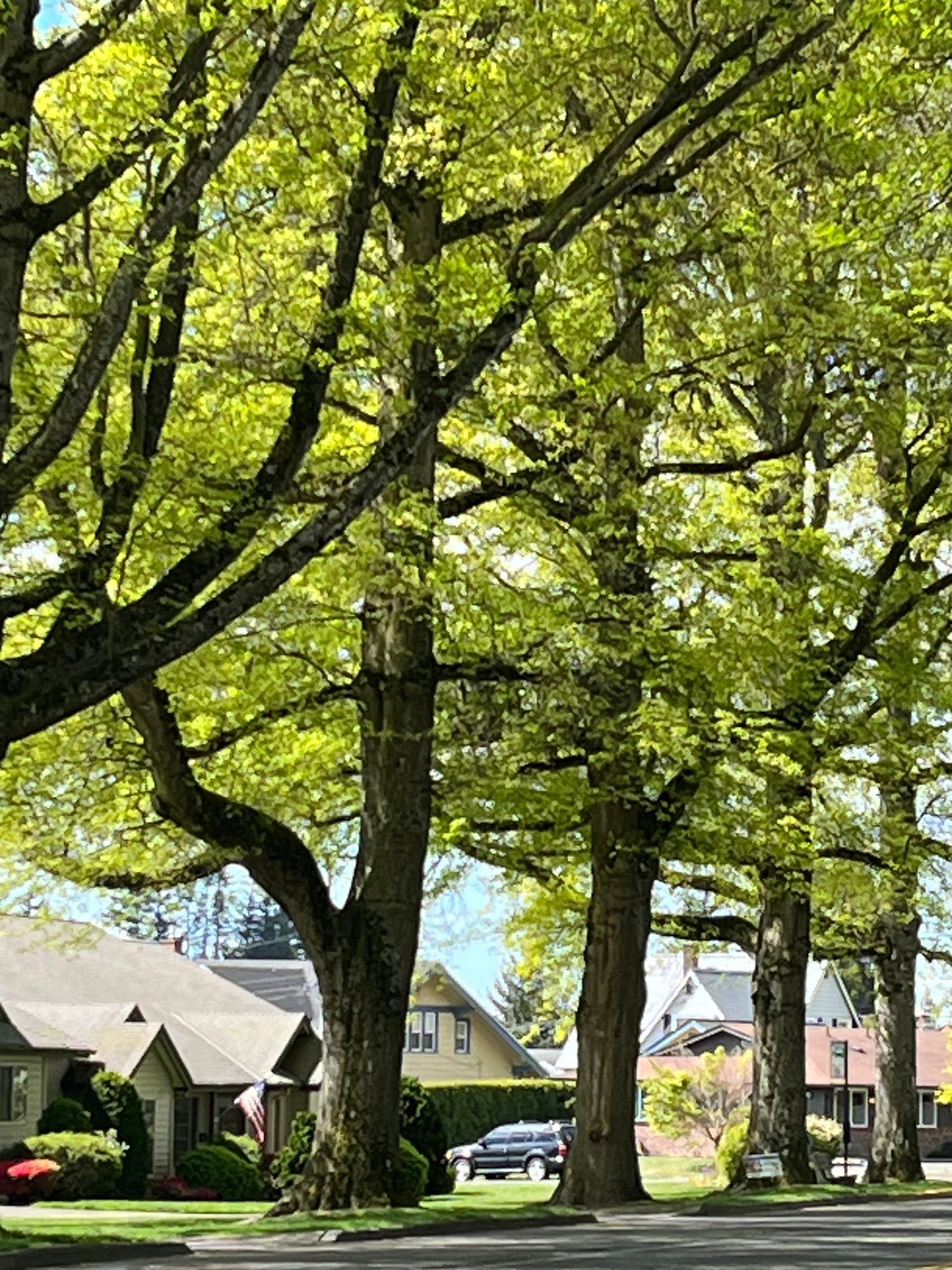 Lynnwood, WA roofing by Reconcile Roofing & Construction