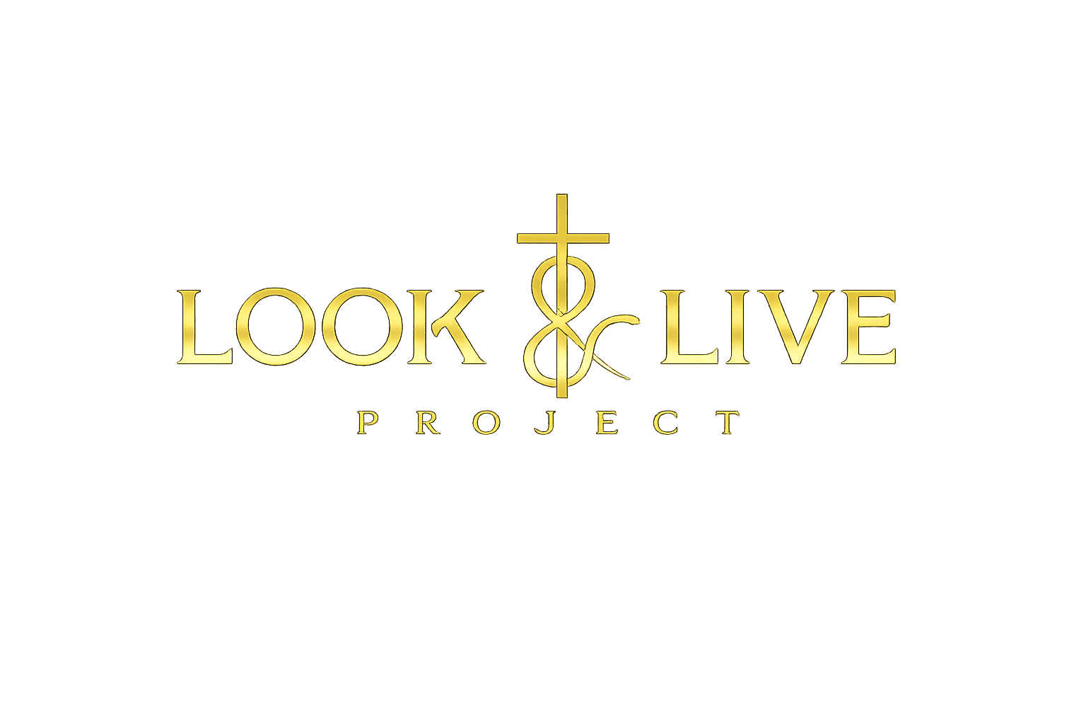 Look and Live Project