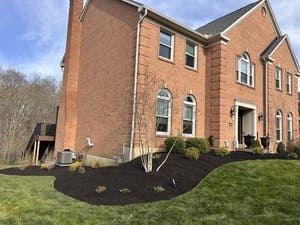 {{ custom_values.service_3 }} in {{custom_values.area_2})