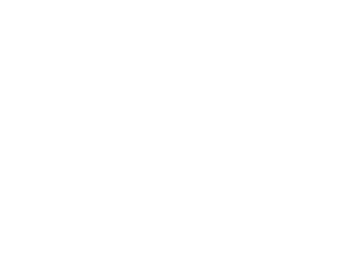 G2 Consulting
