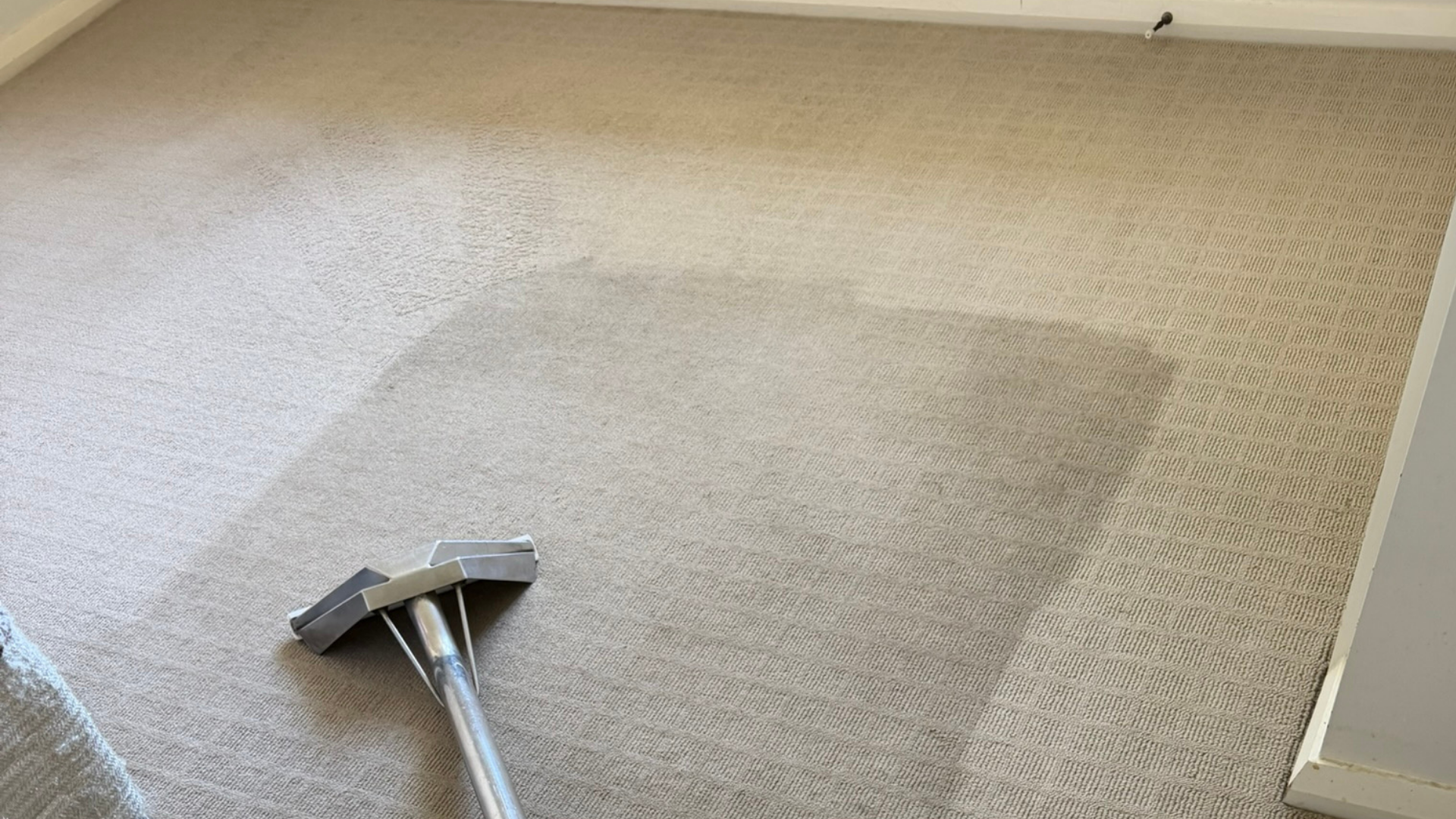 Carpet Cleaning