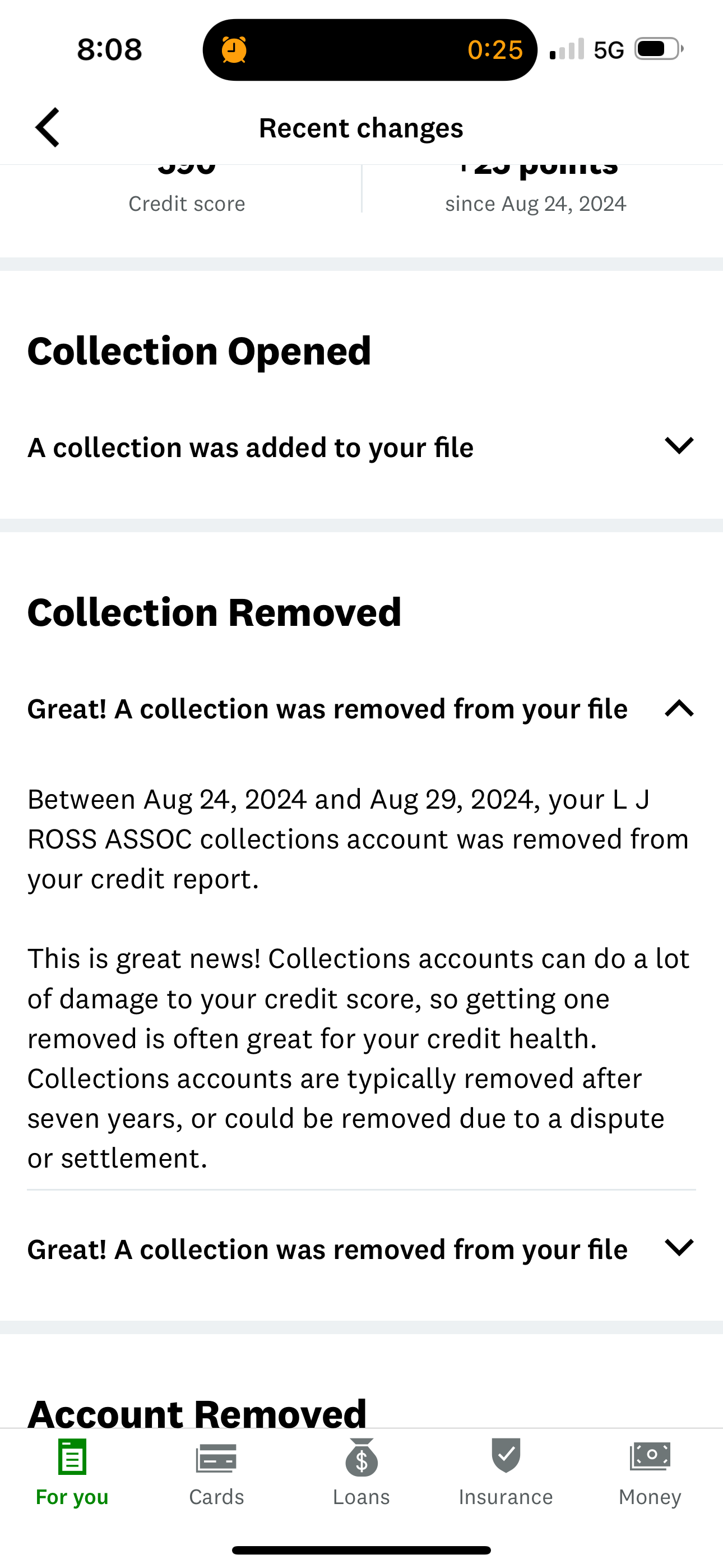 Credit Report Screenshot