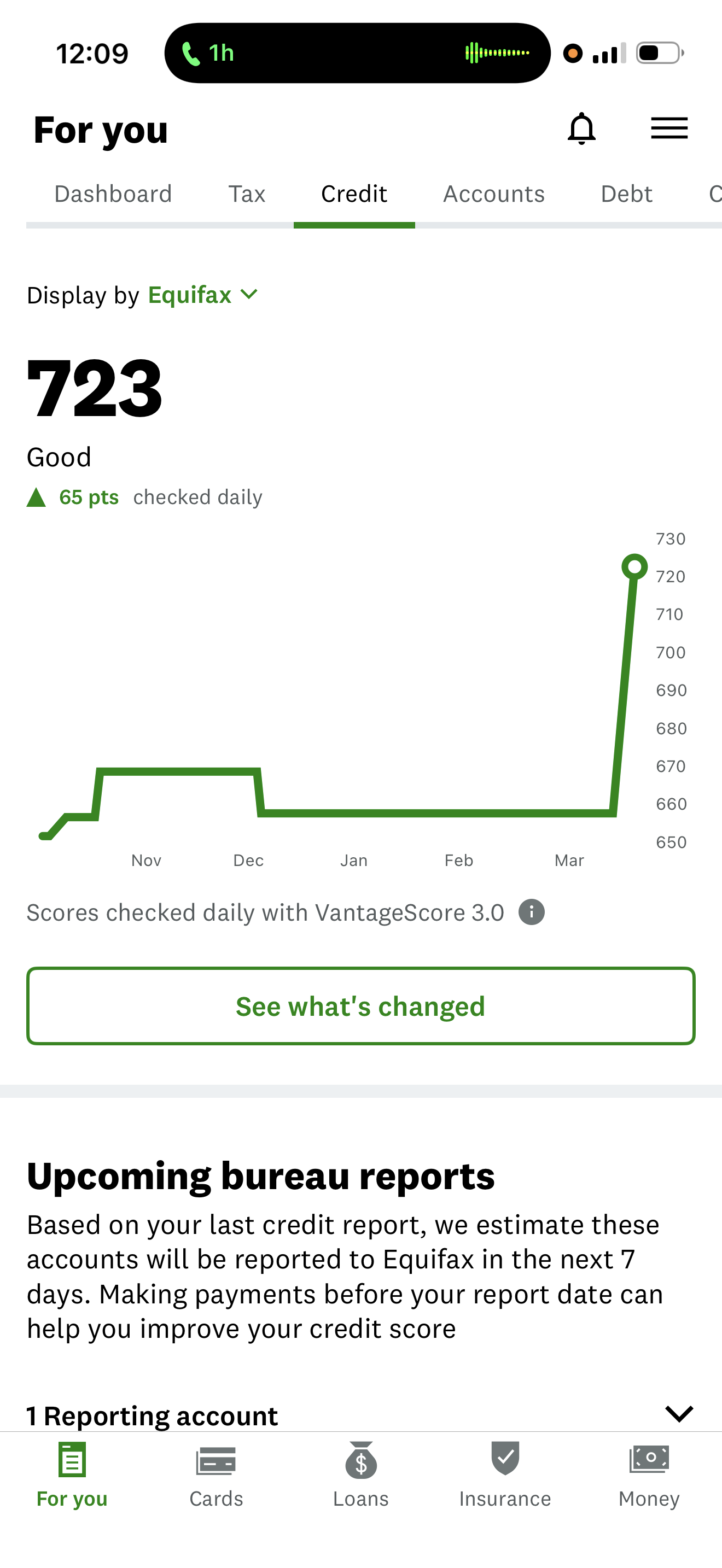 Credit Report Screenshot