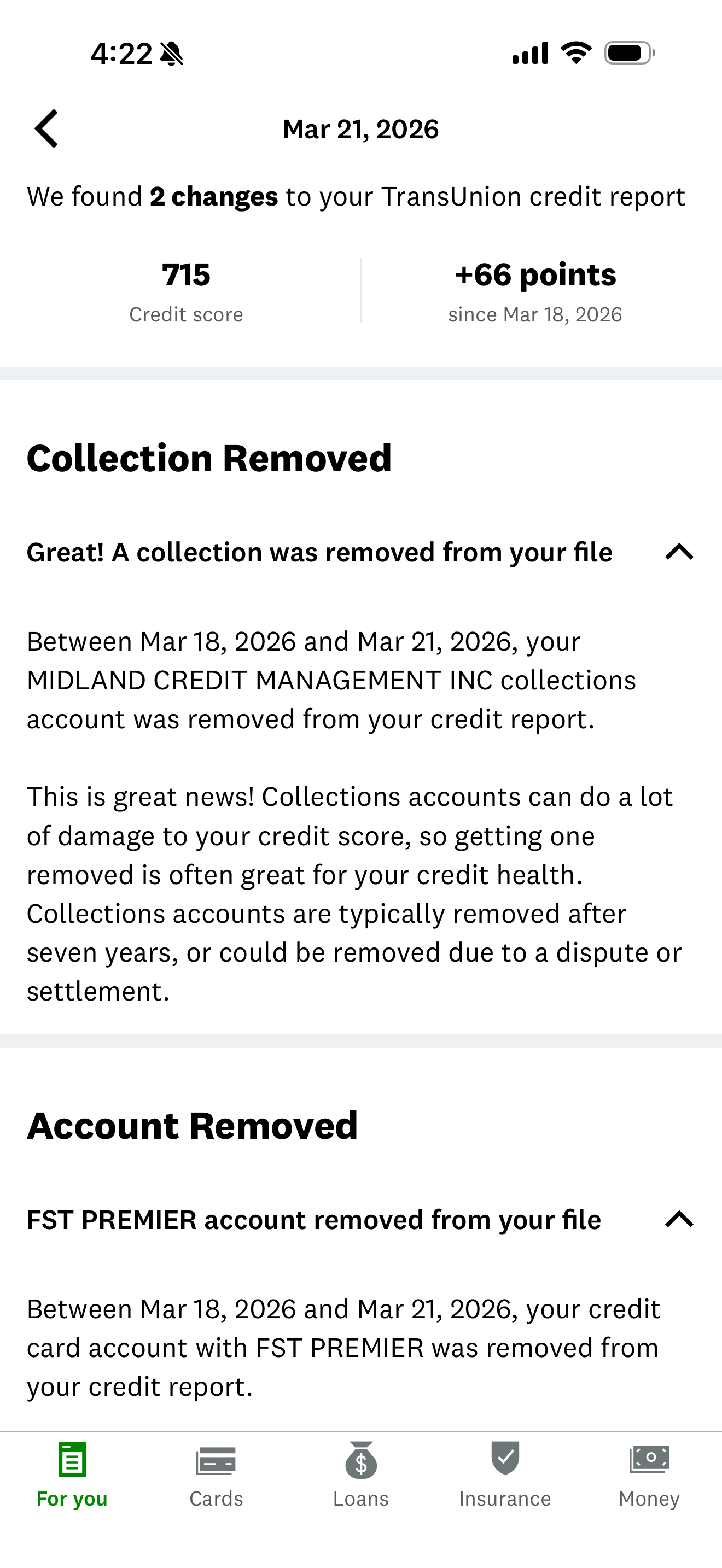 Credit Report Screenshot