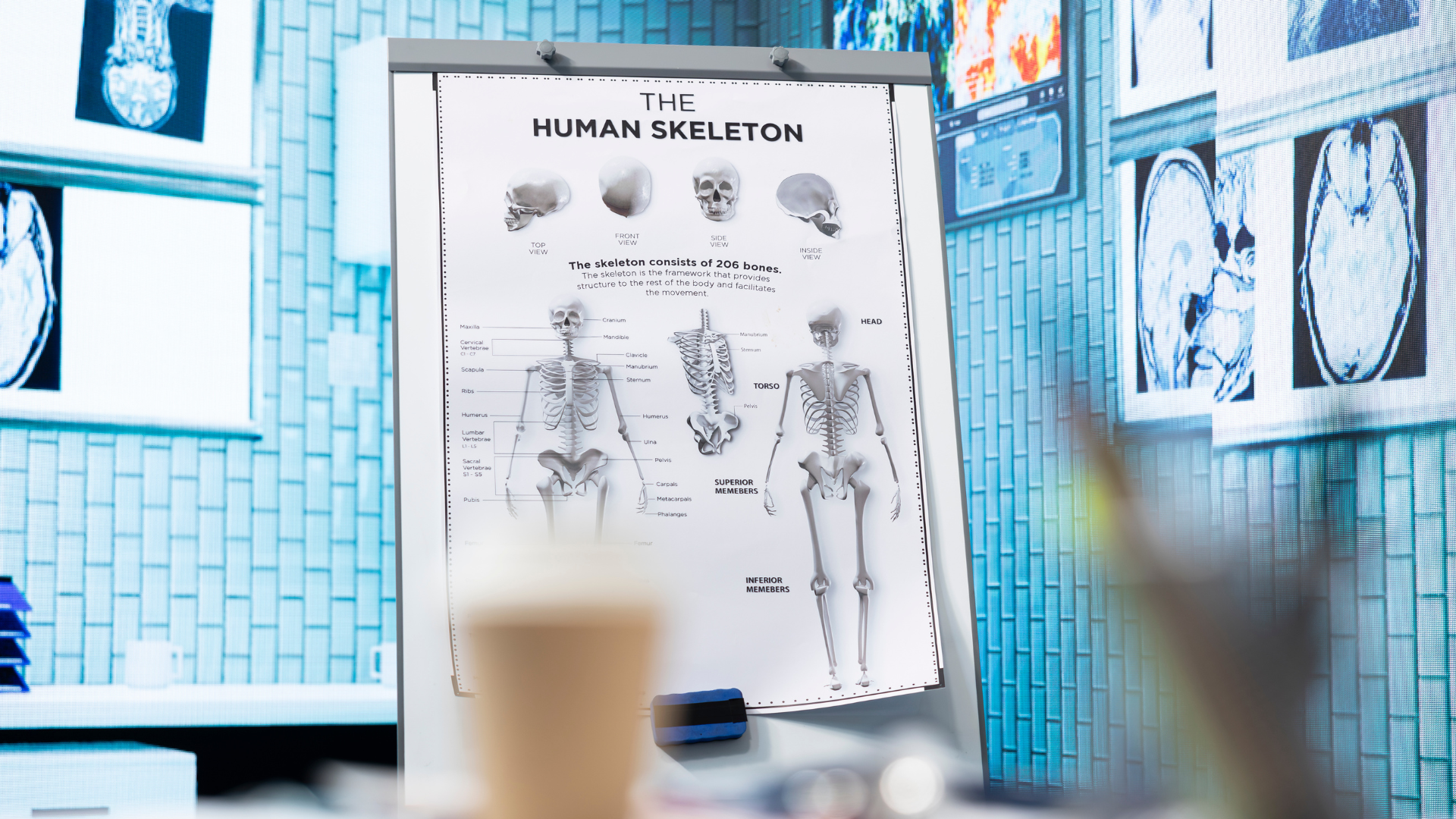 Patient educational health information and materials